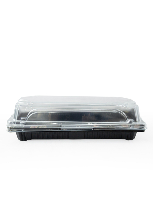 Khay Sushi Họa Tiết Flora KOKUSAI 21.7x9.2x5cm - 011846