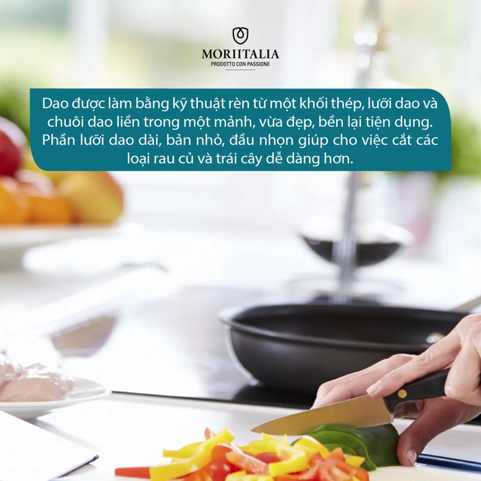 Dao đa năng Delaware siêu bén không gỉ Moriitalia 3000419