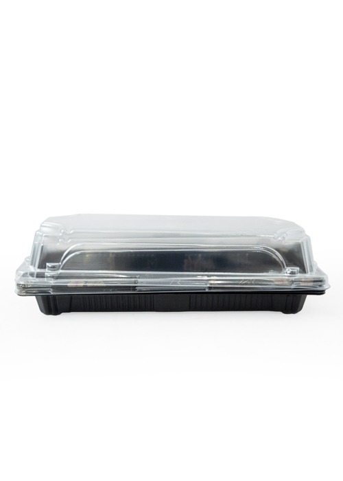 Khay Sushi Họa Tiết Flora KOKUSAI 21.7x9.2x5cm - 011846